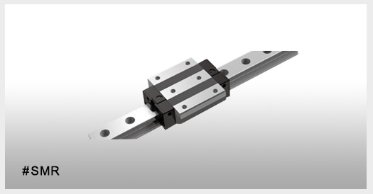 SMR Roller Chain Type Linear Guideway